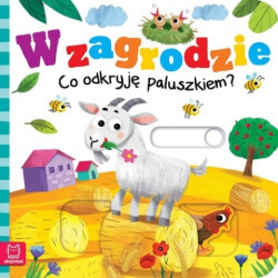 AKSJOMAT 36944 W ZAGRODZIE...