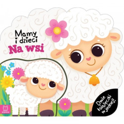 AKSJOMAT 40041 MAMY I...