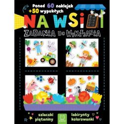 AKSJOMAT 40324 NA WSI...