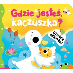 AKSJOMAT 40997 GDZIE JESTEŚ...
