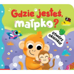 AKSJOMAT 41017 GDZIE JESTEŚ...