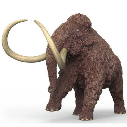 SLH 15053 MAMUT