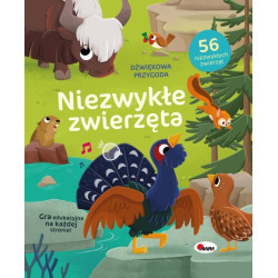 MOREX DŹWIĘKOWA PRZYGODA...