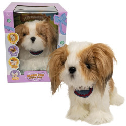 ASKATO PIESEK SHIH TZU
