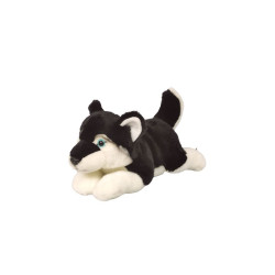 DUBI PLUSZAK HUSKY CIEMNY 34CM