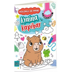 HENRY KOLOROWANKA KRAINA...